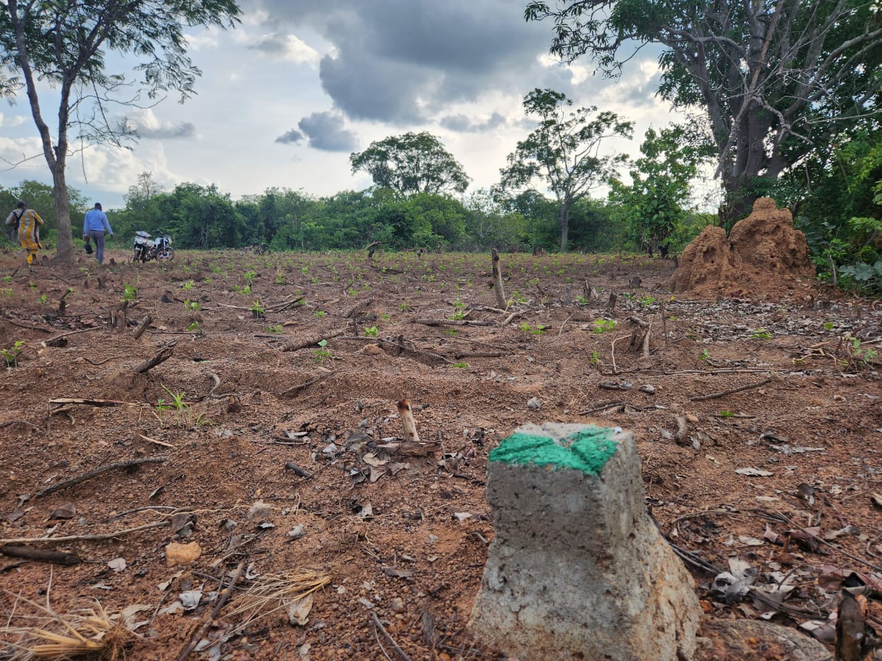 Terrains à vendre à KAGNINNIN